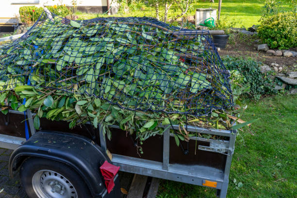 Best Same-Day Junk Removal Services  in Dovesville, SC